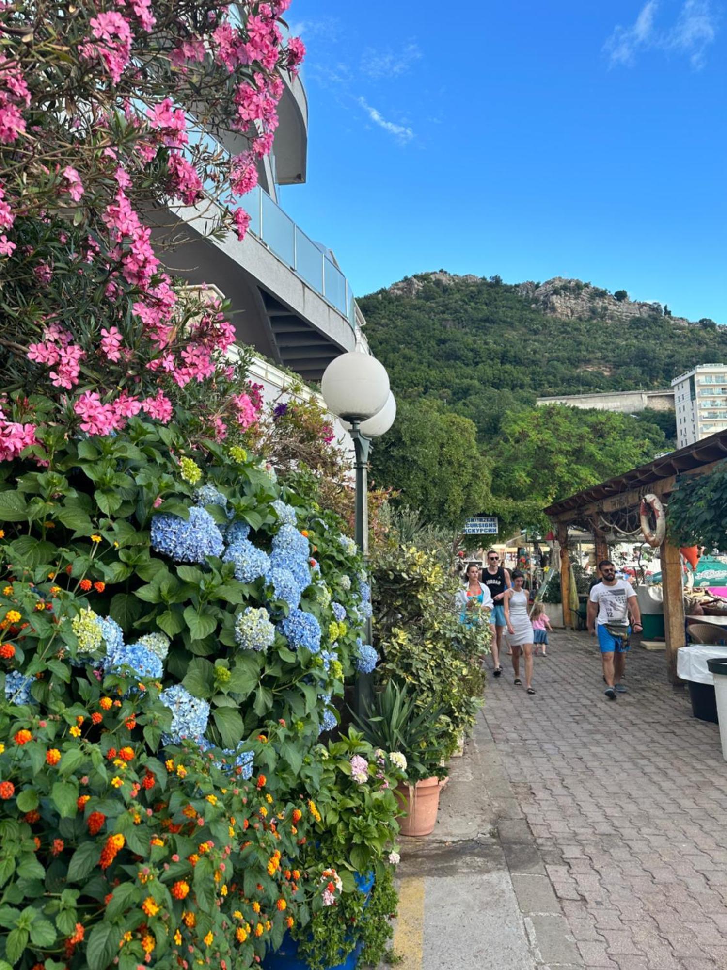 Apartman Jedro 2 Rafajlovići Exterior foto